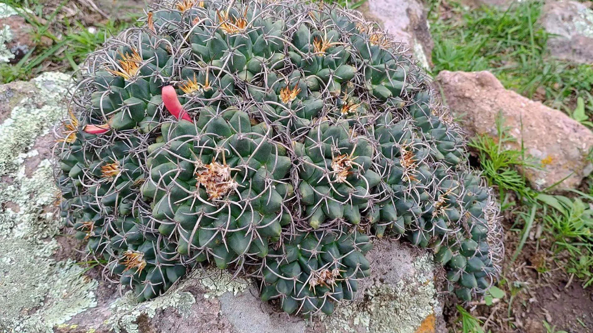 SJR Grave erosion